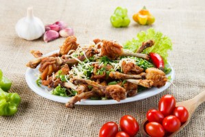 Bek's Bar_Tulipa de Frango_Curitiba_2016 - Copia - Copia