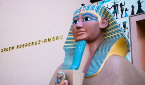 Créditos: Marco Antonio A. Ferreira