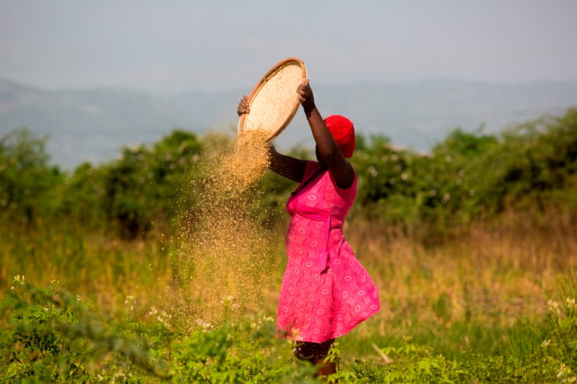 Viagem para o Haiti. Saint Marche, Arcahaie e Gonaives. 05/09/2016 Foto: Brunno Covello