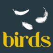 agencia birds