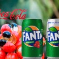 (BLOG) CCB-FANTA_GUARANÁ | IMG&nbsp;DEST