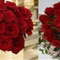 buque-de-rosas-vermelhas-wallpaper