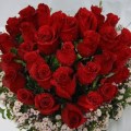 Faça-Um-Lindo-Buquê-De-Rosas-Vermelhas