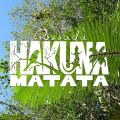hakuna matata