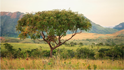 serra-tombador-foto-nova