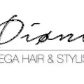 (BLOG) DIONI-MEGAHAIR |&nbsp;IMG-DEST