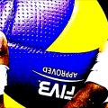(BLOG) FIVB-CWB2017 |&nbsp;IMG-DEST