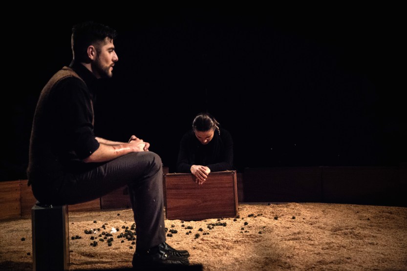 OVO - Agon  Teatro (foto de Victor Pedrassoni) 2.jpg