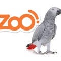 (BLOG) HIPERZOO |&nbsp;IMG-DEST