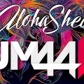 (BLOG) SHED-UM44K |&nbsp;IMG-DEST
