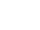 brave logo_166x126