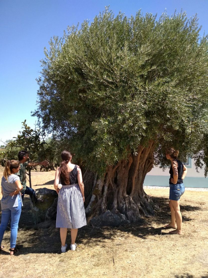 oliveira_amor_é_cego2