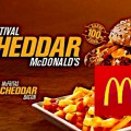 (BLOG) MC-CHEDDAR |&nbsp;IMG-DEST