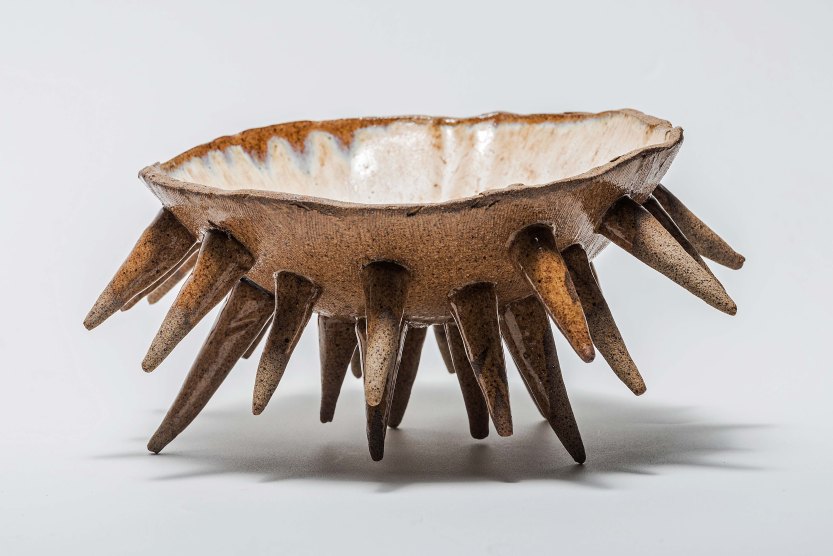 ESTUDIO BOITATA(1).JPG