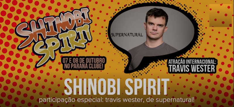 shinobi-spirit banner