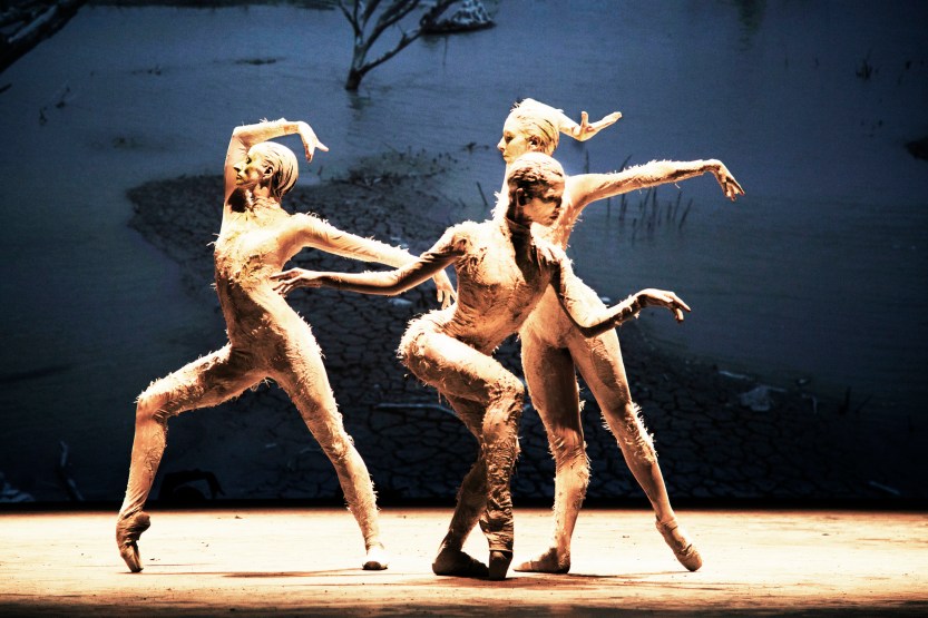 cao_deborahcolker7_foto Cafi.jpg