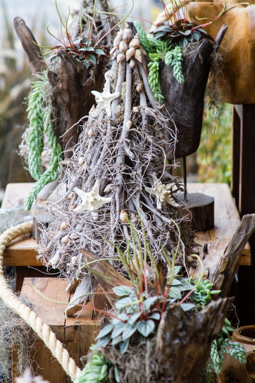 Coleção litoral escandinavo.jpg