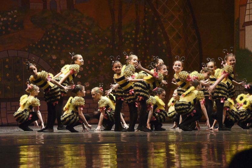 EDTGABelaeaFerafoto5KrawPenas (1)