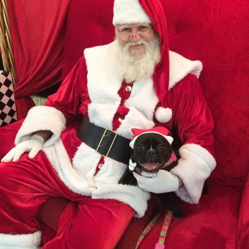 Papai Noel e Charlotte_Shopping Curitiba.jpg