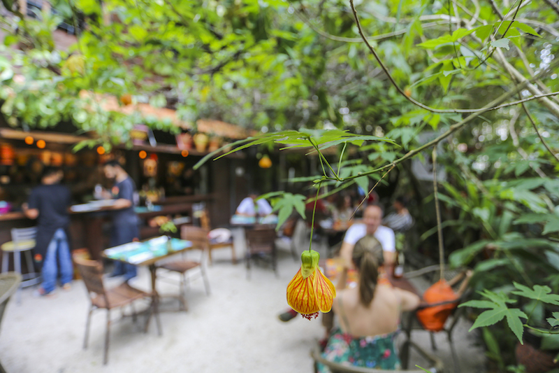 Quintana04Daniel-Castellano