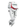 evinrude