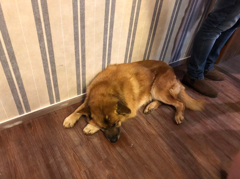 FOeadVBaQ8aCd0EmV57Log