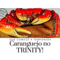 (BLOG) TRINITY-CARANQUEJO |&nbsp;IMG-DEST2