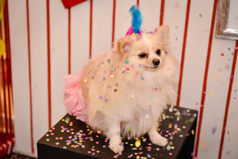 Foto: Priscilla Fiedler