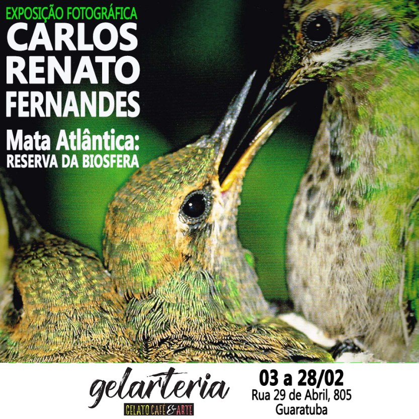 CONVITE_EXPOSIÇÃO_FOTOGRÁFICA_TARZAN