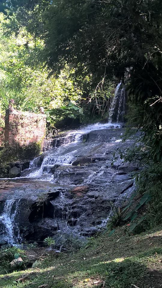 29133592_2063575803657274_8073778990168408064_n