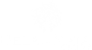 bela-mata-logo-site