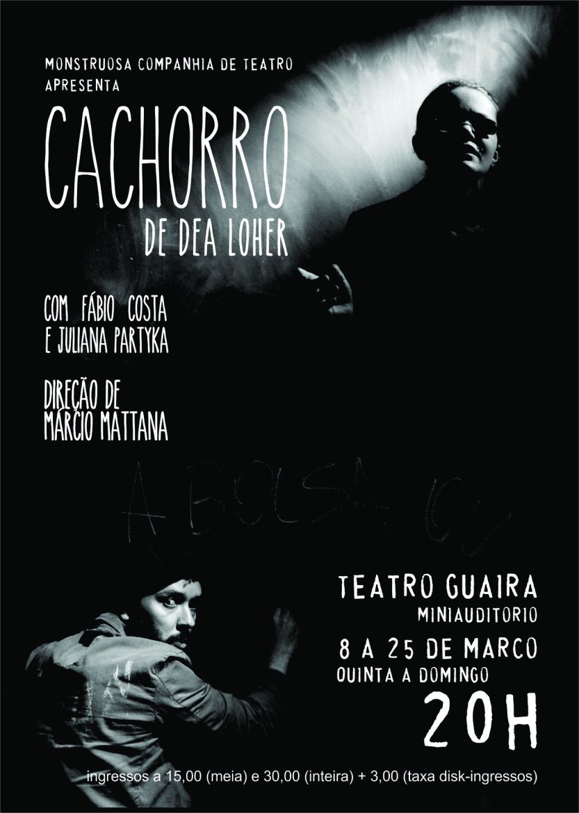 flyer cachorro
