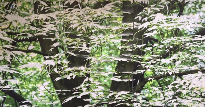 Exposição_Alessandra_Rehder_2