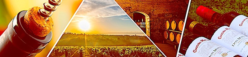 Viña Cousiño Macul banner