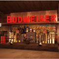 Bud Basement