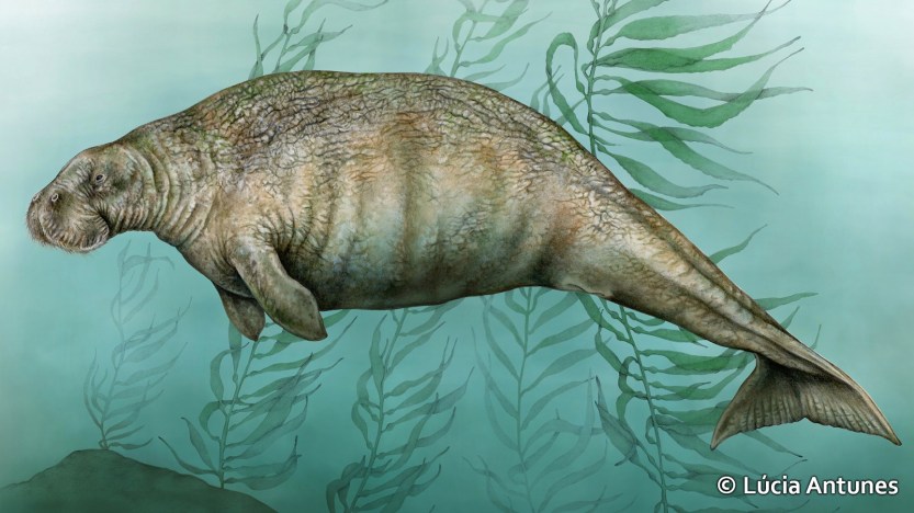 imagem_release_1289976