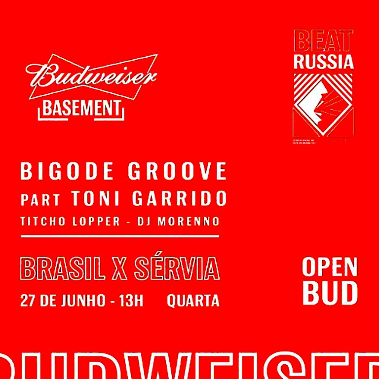 budbasement folder.jpeg