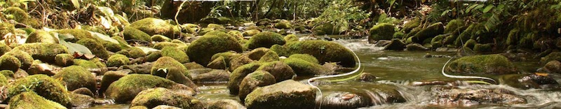 FOB_saltomorato_ph-adrianmoss copy