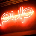 PULP-1