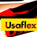 (BLOG) USAFLEX |&nbsp;IMG-DEST