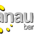 logo-anaue-png