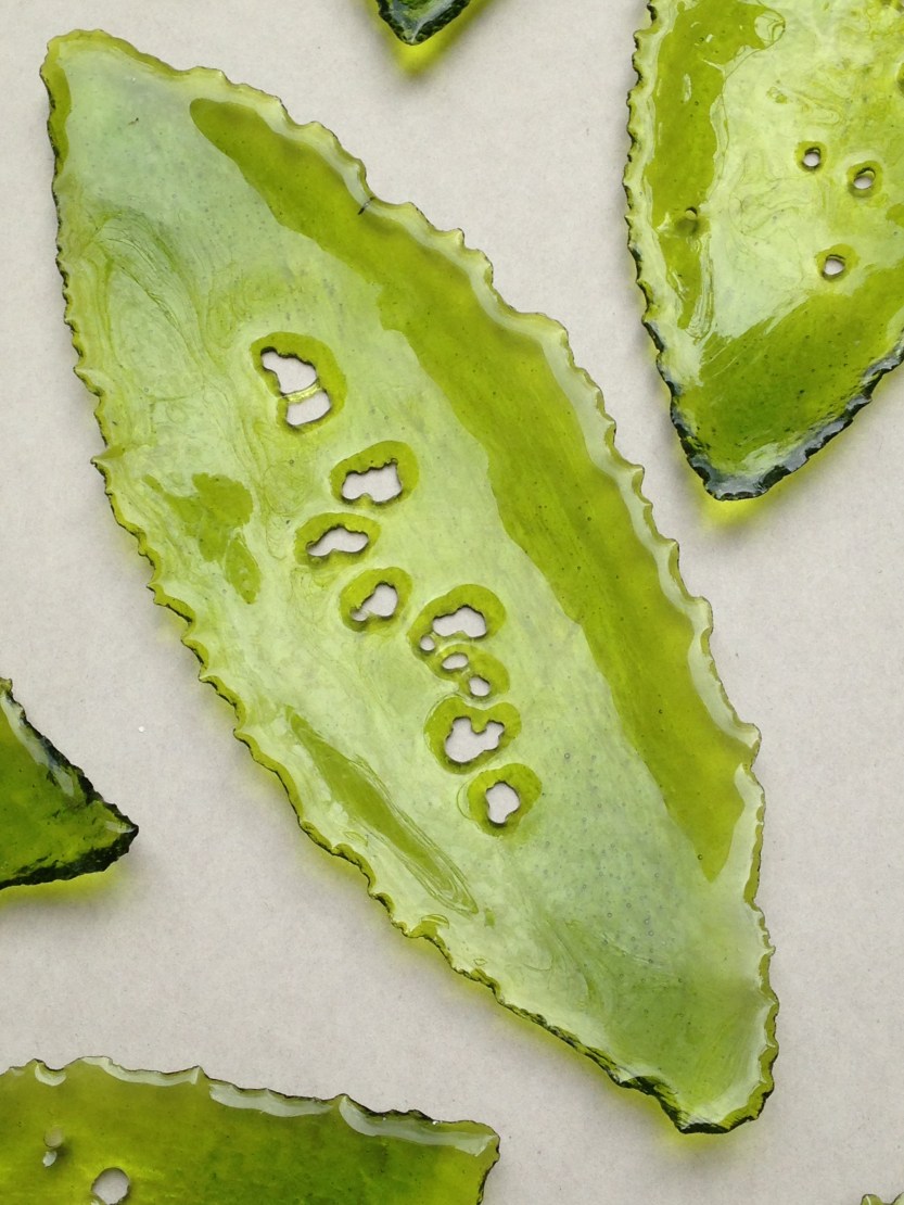 IMG_4_DESIREE_SESSEGOLO_AMAZZONIA_VETROFUSIONE_10,0X19,0CM