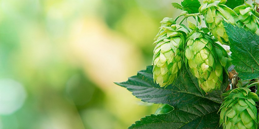 WhatsApp Image 2018-09-11 at 12.08.34