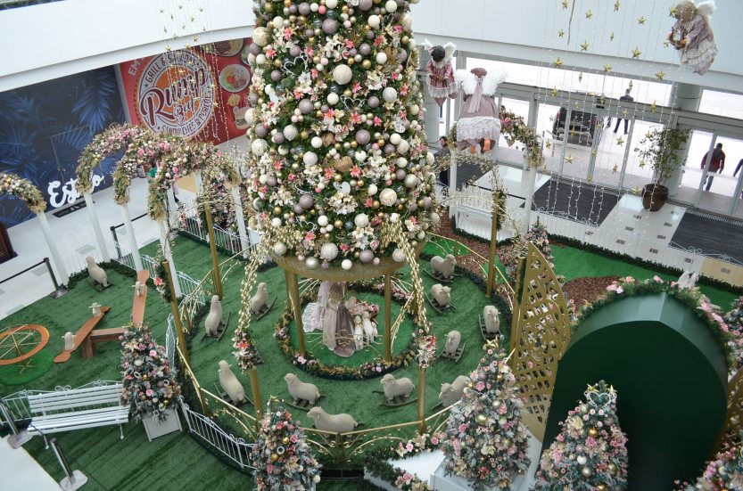 Daniel_Martins_-_Decoração_(1)