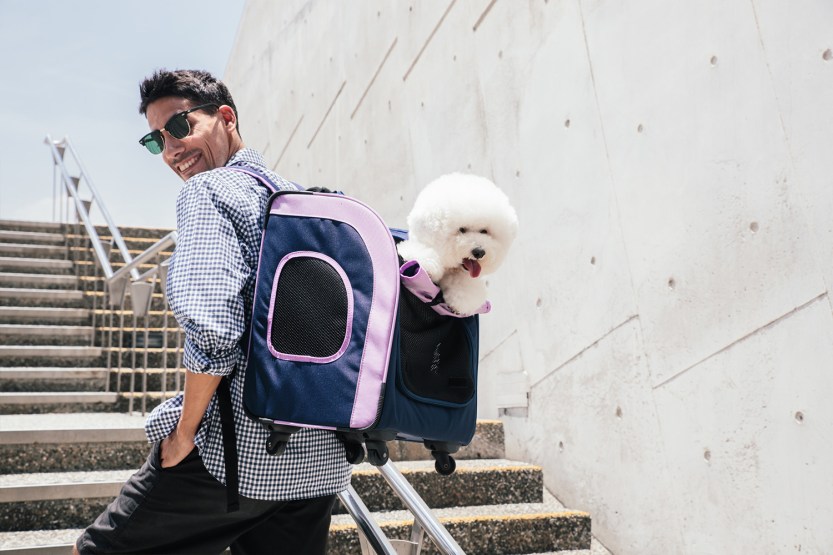 03_web_fc1705_ad03_1500