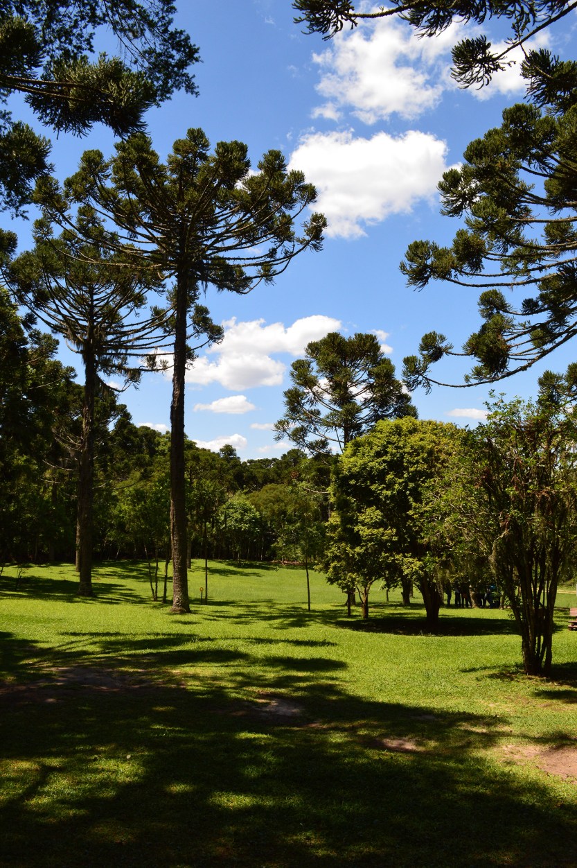 imagem_release_1568133