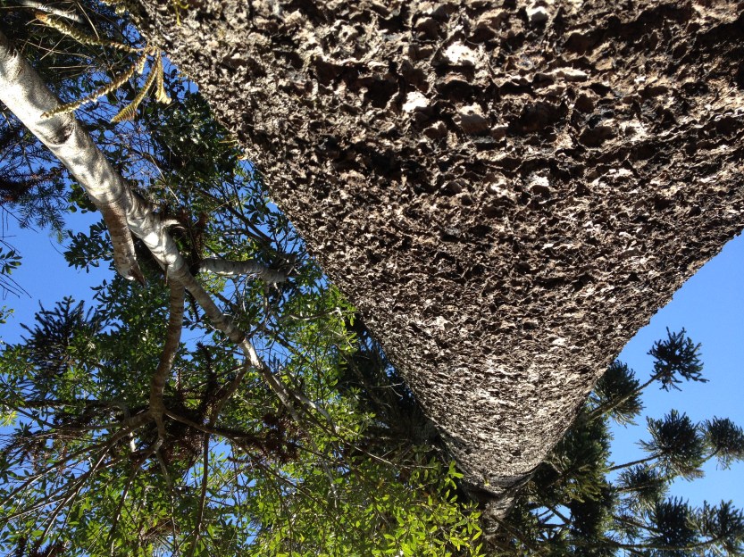 imagem_release_1568145