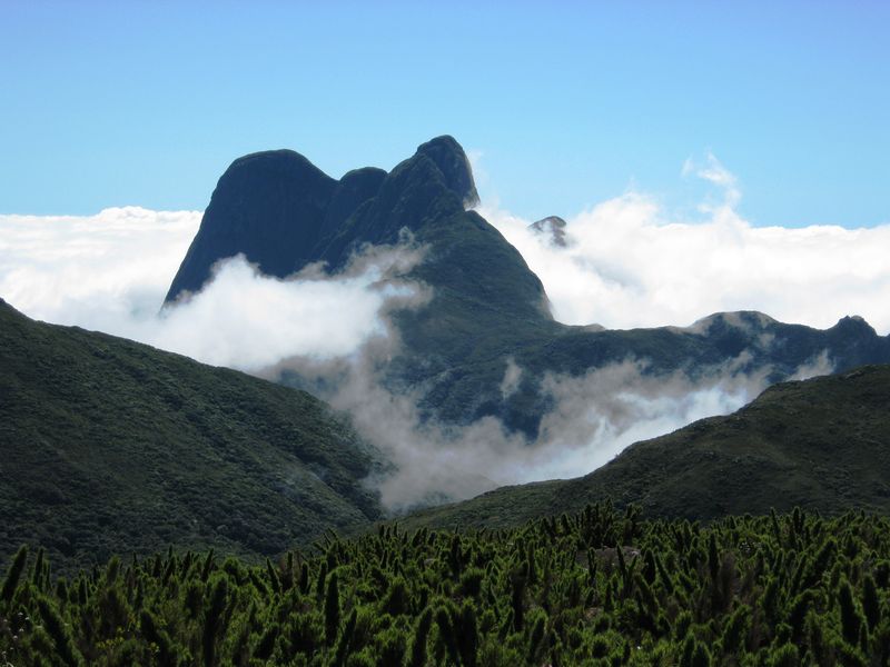 imagem_release_1573331