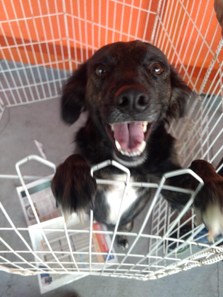 imagem_release_1579162