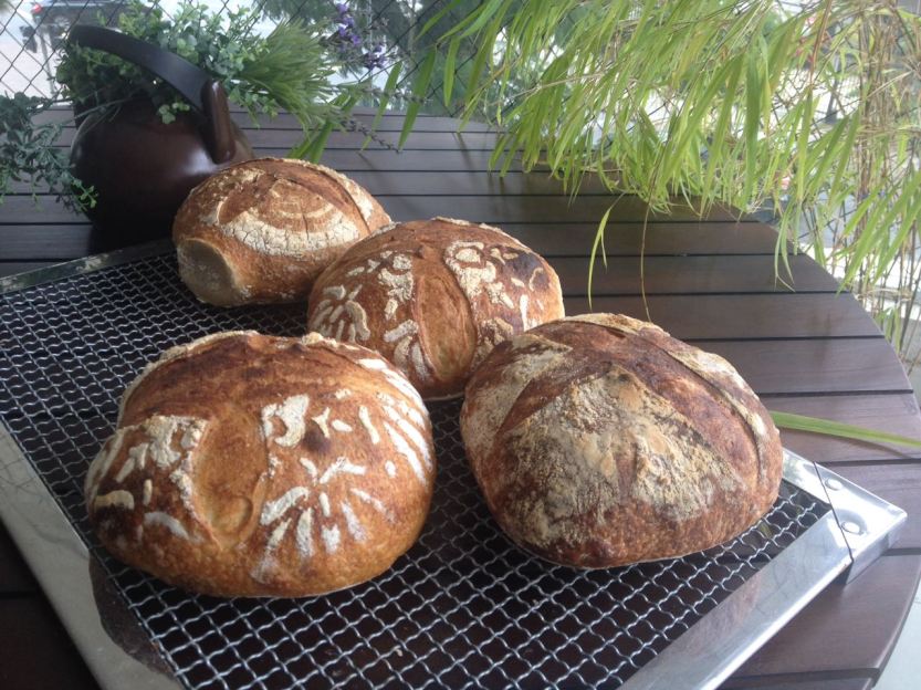 paes_a_padaria_chegou_divulgaçao